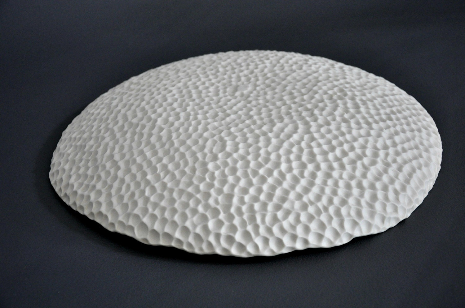 Limited Edition Porcelain Serving Platter in Lagoon