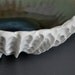 Lagoon Scallop Textured Bowl - Dining Serving Centerpiece Beach Modern Decor Porcelain Ceramic