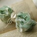 SPRING AQUA Cabbage Roses Ribbon