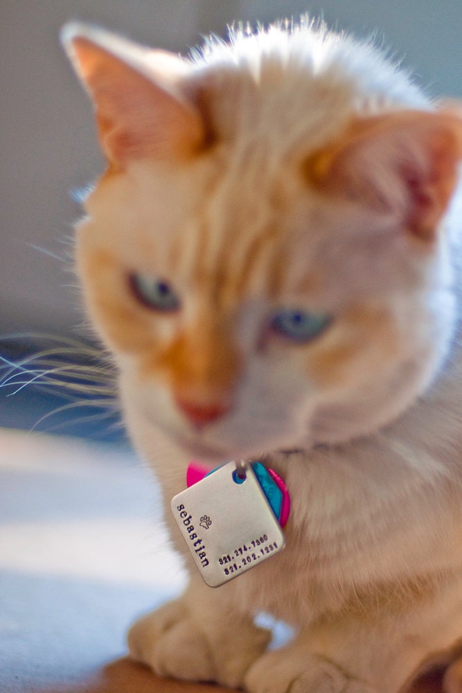 mod diamond pet tag - hand stamped in aluminum