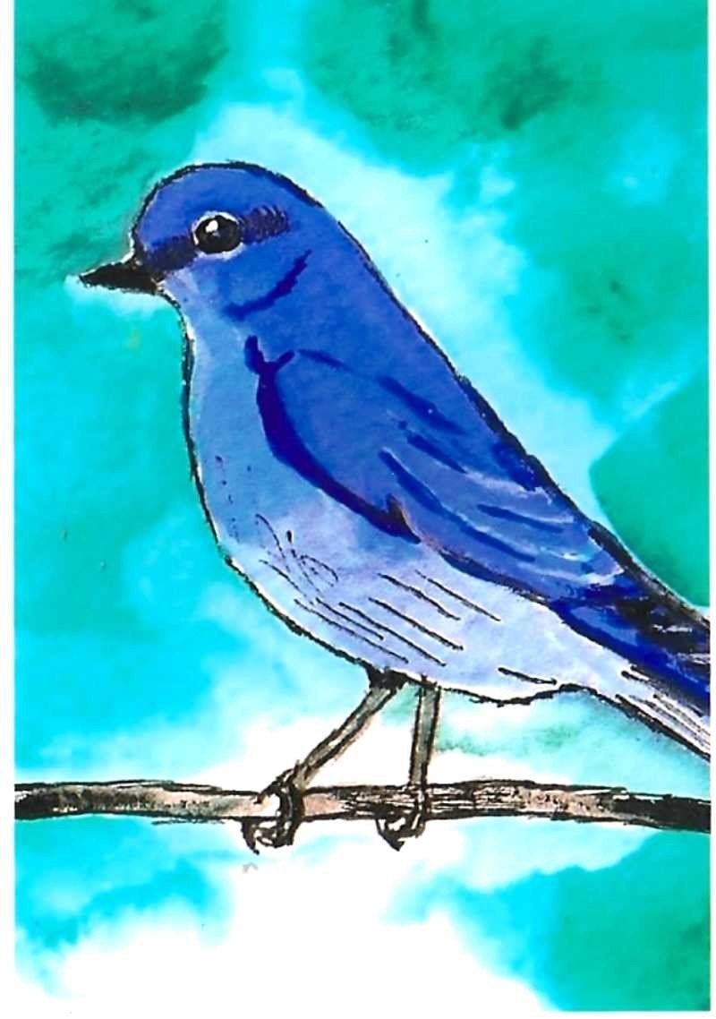 Bluebird - 3.5 x 5 inch Archival Print