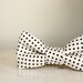 Bow tie, groomsmen bow tie, ring bearer wedding bow tie in cream with black polka dots