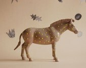 zebra a pois - the strange planet