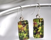 Mesclun Mix Lettuce Glass Pendant and Photo Earrings