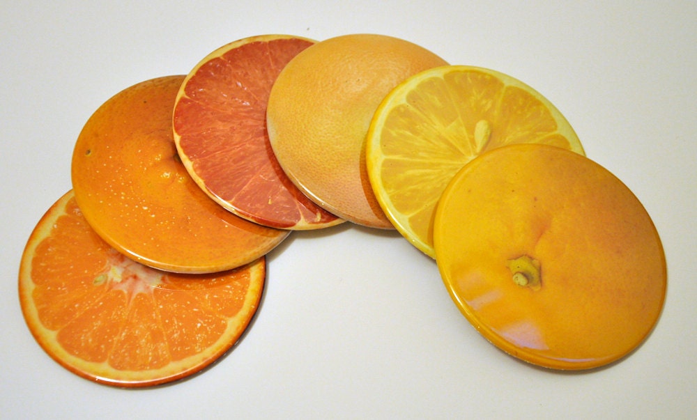 Citrus Photo 3.5 inch Coasters - Set of 6 in Box