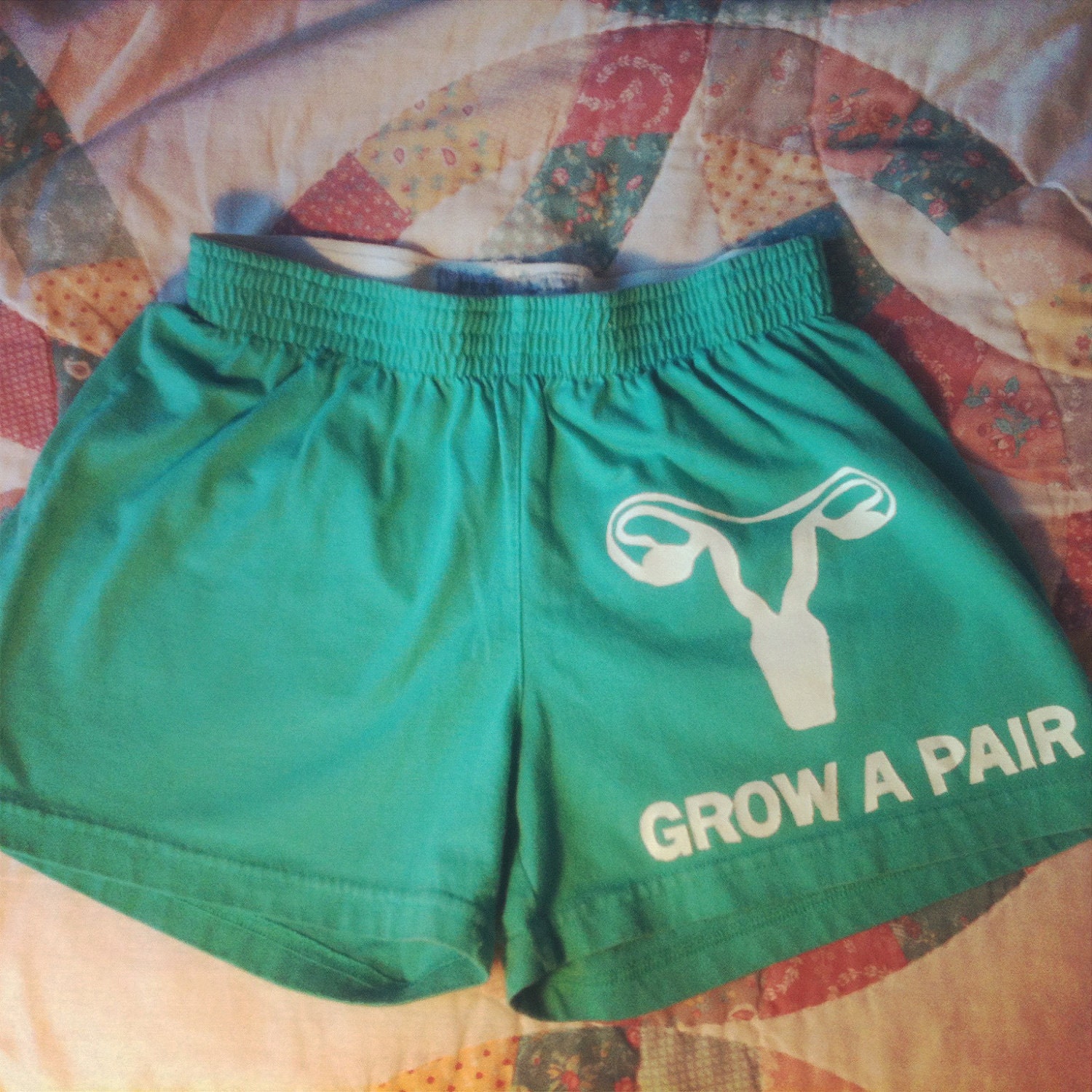 Grow a Pair Uterus Feminist Stencil DENIM Shorts