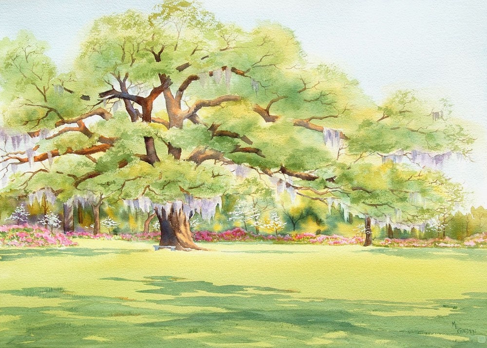 Airlie Oak