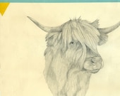 Highland Cow Print
