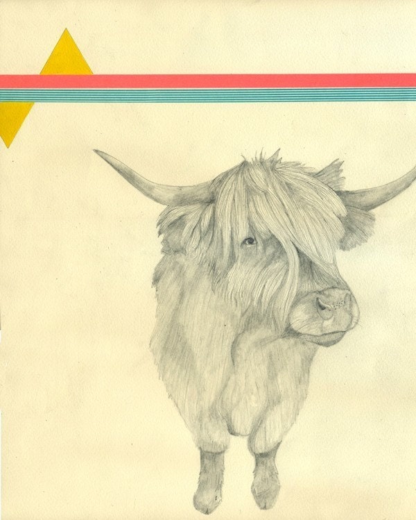 Highland Cow Print