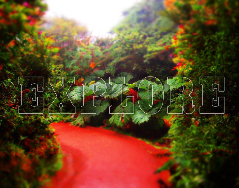 11x14 Explore Giclee Poster Print Poas Volcano in Costa Rica