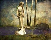 Hippolyta