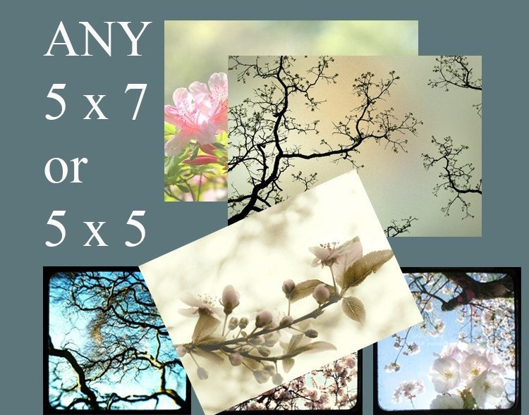 ANY 5x7  or 5x5  Nature photography - Custom Photo Size - Landscape, Floral Photography Prints