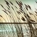 Beach decor, Summer Decor, summer wall art, Ocean photography, beach house art, large wall art, beach photography - 11x14 - Shining Through