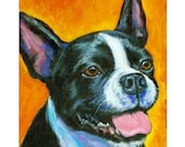 Boston Terrier Dog Art 8x10 Print of Original Painting by Dottie Dracos "On Orange"