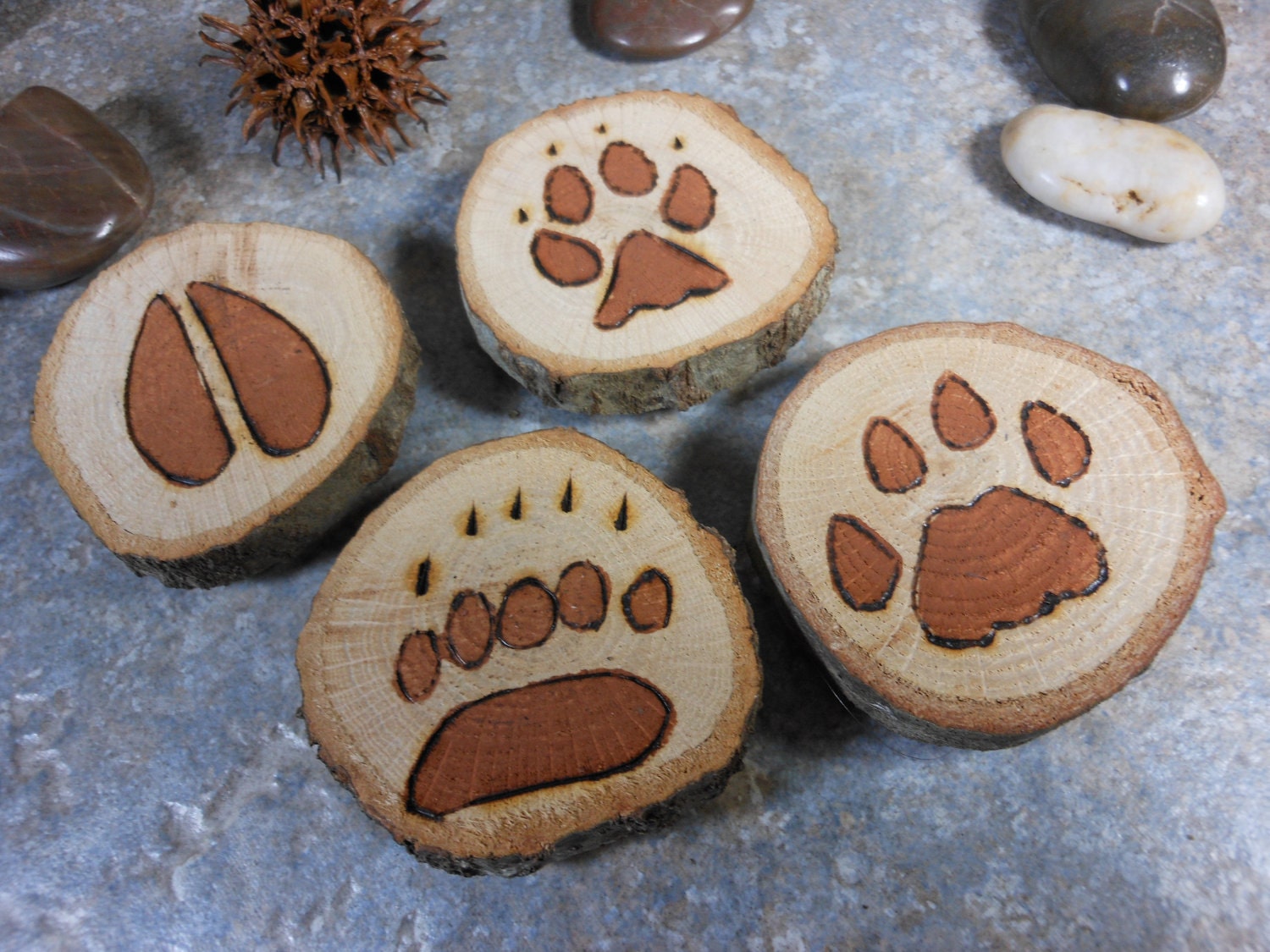ANIMAL TRACK MAGNETS - Wolf Bear Cougar Deer Prints -  Refrigerator Magnets - Handpainted Log Sections