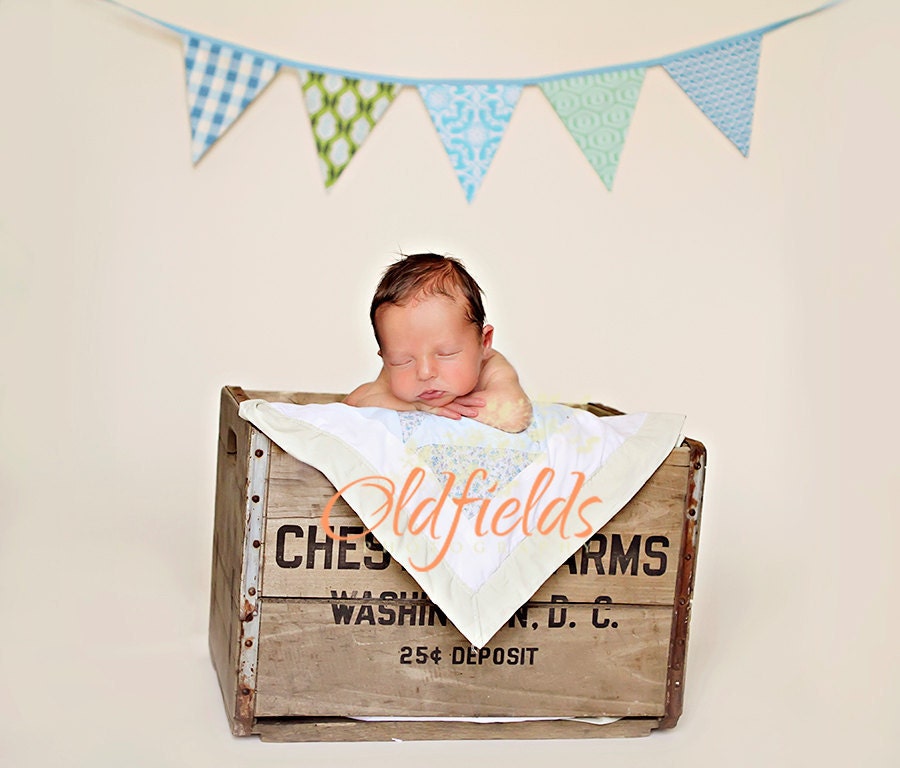 SALE Boy Themed Bunting. Ready To Ship. Photo Prop, Nursery Decoration, Party Banner, Shower Decor..