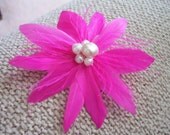 Fuchsia Pink Feather Flower
