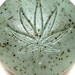 Legalize It Hemp Seed Oil Soap with Nag Champa