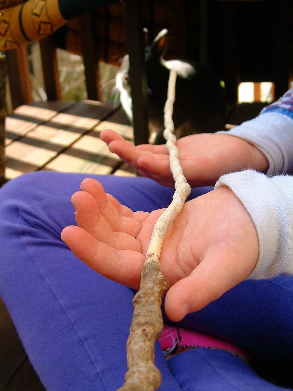 Magic Cottonwood Wand ---Wooden Branch Wood Embued with Energy