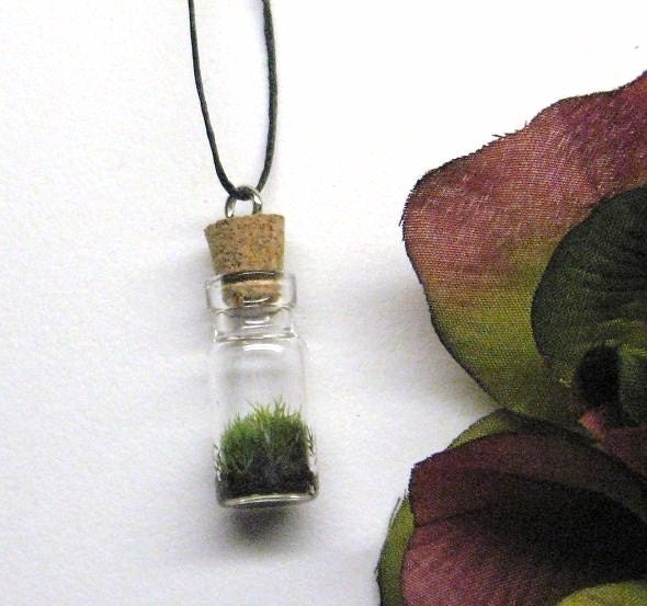 Moss Terrarium Pendant A Unique Gift From Nature FREE SHIPPING
