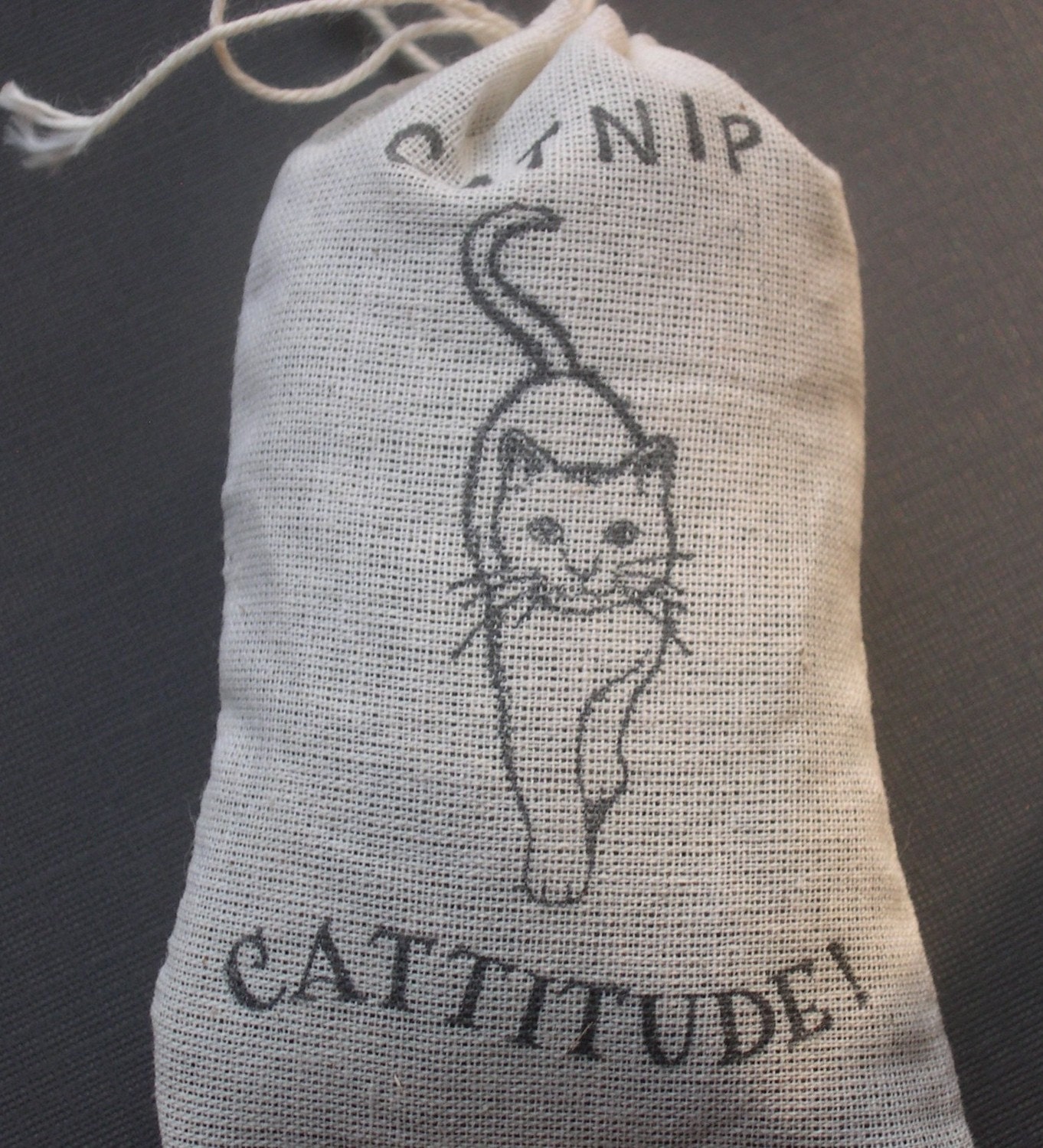 Organic Catnip (Cat Nip) Loose in a Hand Stamped Bag Cats