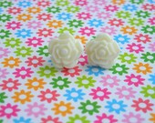 primrose (white)