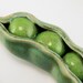 Sweet Pea Peapod