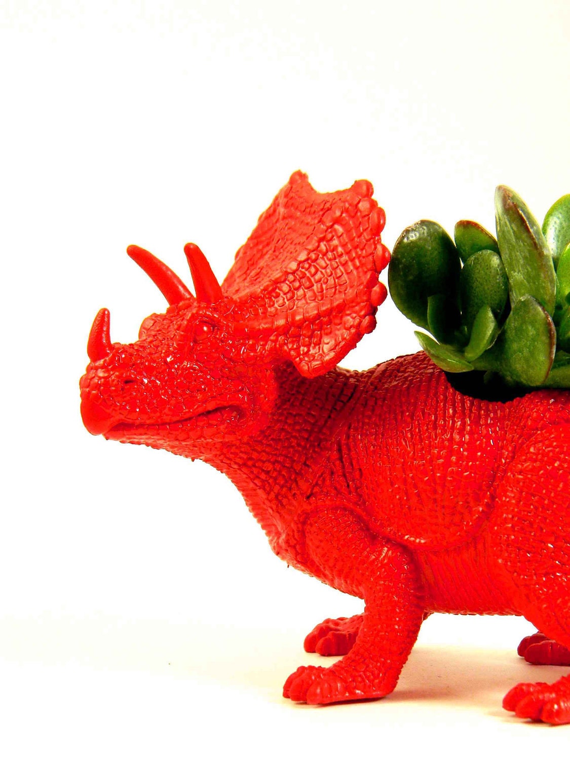 Dinosaur Planter Red Succulent Planter Triceratop Great for Birthdays
