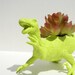 Raptor Dinosaur Planter Gift Ready to Plant Teacher Gift Dorm Decor
