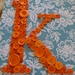 Button Letter Wall Art -- Orange Monogram on Turquoise -- 8"x10" -- by Letter Perfect Designs