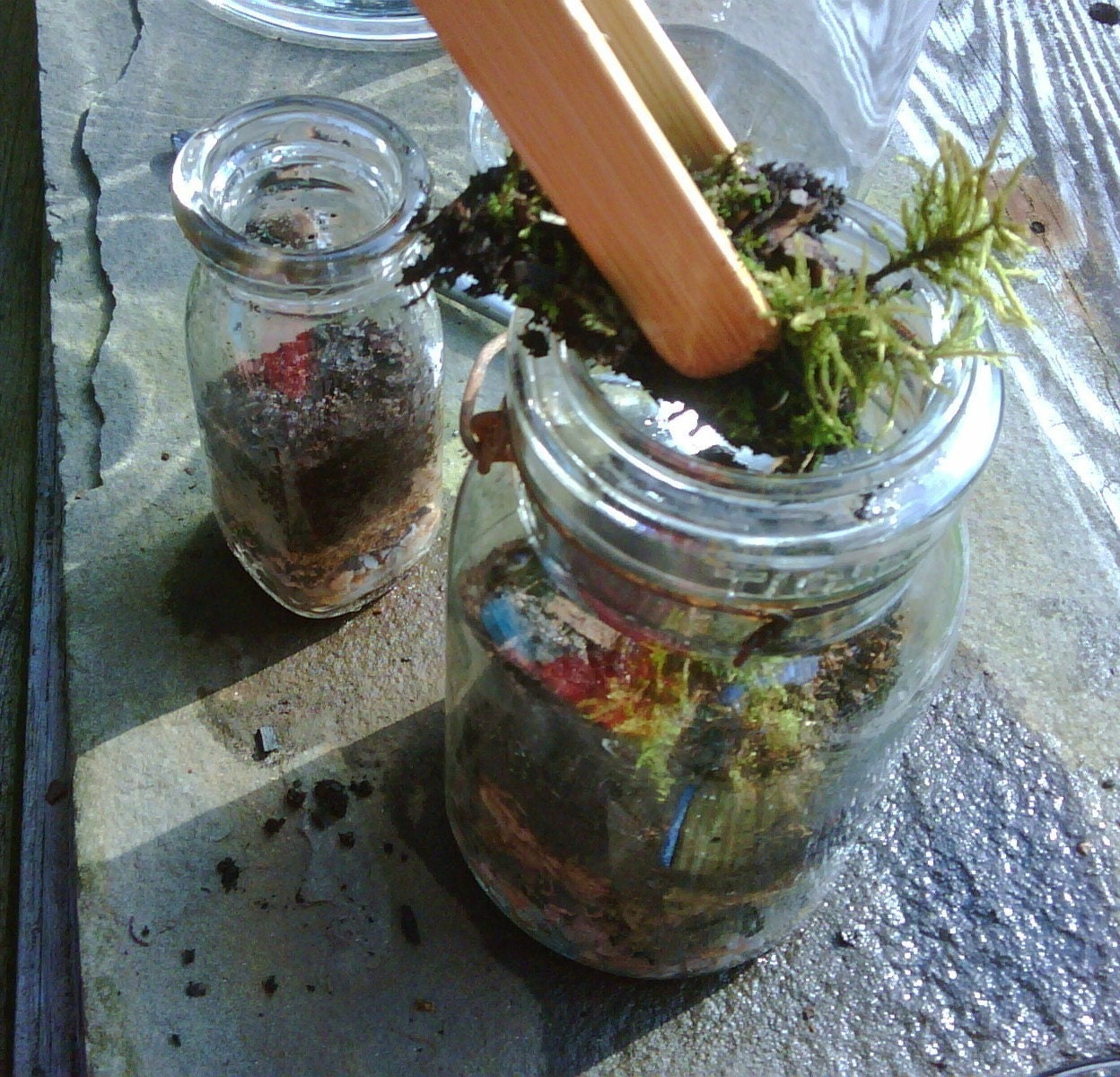 terrarium instructions \/ My Glass Garden \/ how-to