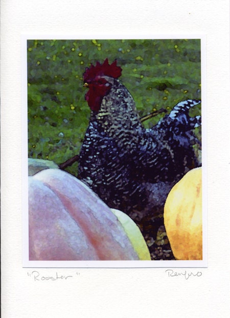 Rooster - Pumpkins - Blank - Handmade - Photo Greeting Cards - Note Cards - Orange - Harvest - Farm - Thanksgiving - Altered Art