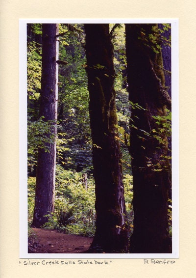 A Walk in the Woods - Set of 4 - Blank - Handmade - Photo Greeting Cards - Note Cards - Autumn - Fall - Oregon - Forest - Park - Nature