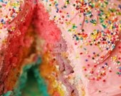 Sugar Guts - Fine-Art Rainbow Cake Print - 5x5