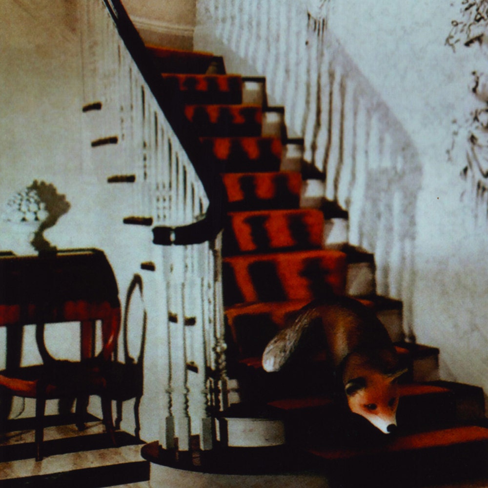 full sneak, 8x8 archival print photograph of minature fox figurine in surreal 60s foyer