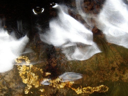 Spell - archival quality photo print