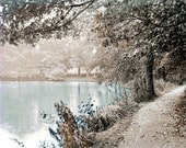 photography Mystical Forest Pond Tinted Vintage photo Print