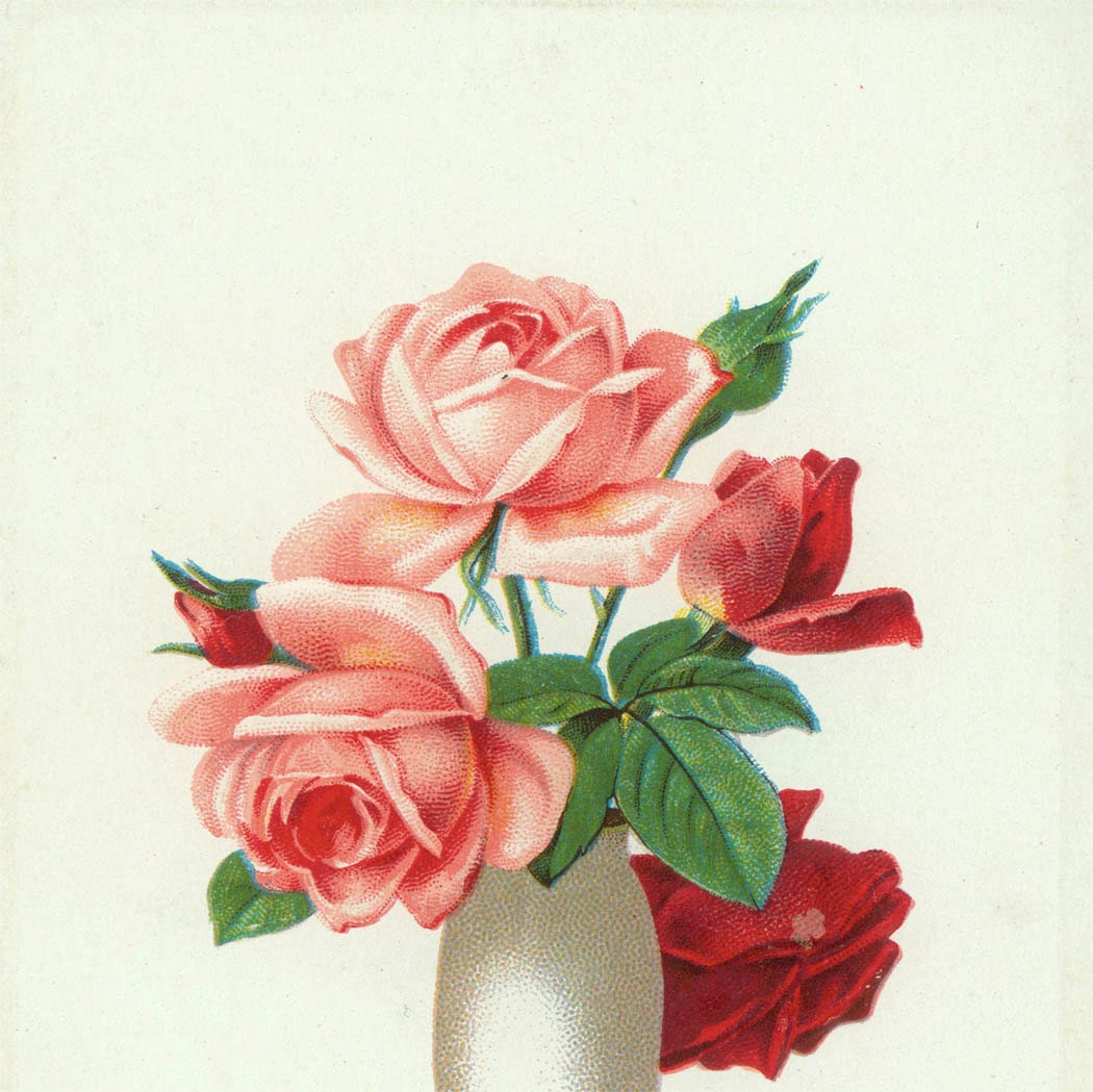 Vintage Pink Valentine et Red Roses sincères salutations