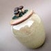 Mushrooms in the Sun Oatmeal Ginger Jar - Handmade stoneware pottery