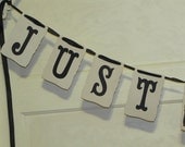 Customized Personalized Just Married Wedding Banner Garland Photo Prop
