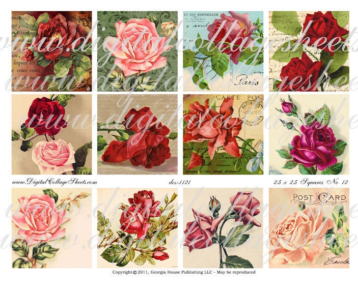 Instant Download  Rose  2.5 inch Squares Collage Sheet DCS-1121 DigitalColageSheets, Printables, Downloads