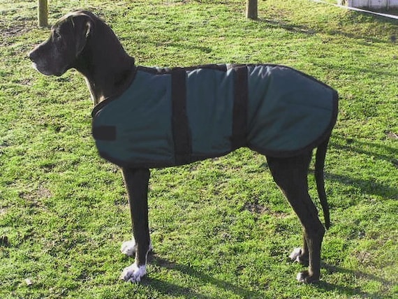 Custom made Winter Coat for Great Dane size 35 or 36 by COZYHORSE
