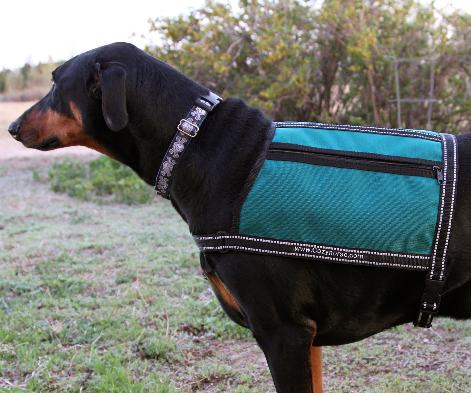 TEAL Service Dog Therapy Dog Working Dog Vest by COZYHORSE