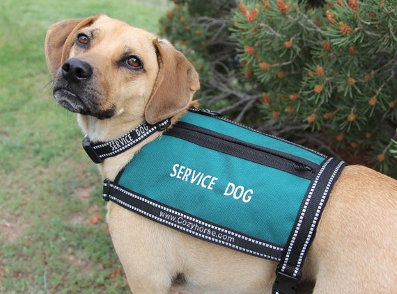 service-dog-vest-size-medium-by-cozyhorse-on-etsy