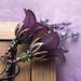 Romantic Deep Purple Flower Earrings - Rich, Dark Purple Flowers, Antiqued Copper, Gift for Gardener, Garden Wedding, Vintage Style Jewelry
