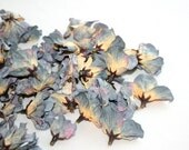 50 Silk Dry Hydrangea Blossoms in Periwinkle Blue and Cream
