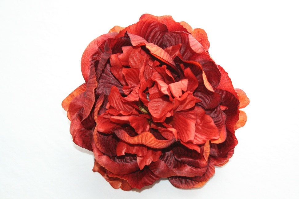 Rustic Red Peony - 6-7 inches - simplyserra