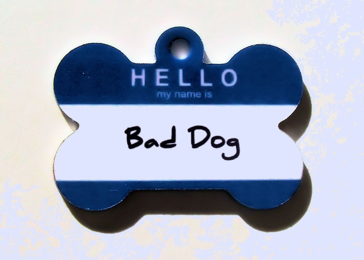 Customized Bone Metal Pet ID Tag - Hello Tag
