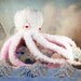 Aspro the Albino Octopi FREE LOVE red felt hearts