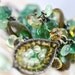 OoO SALE OoO - 60% off - Wire Wrapped Prehnite Citrine Fall Tourmaline Green Amethyst Fluorite Glass Lampwork Necklace - The Irish Eyes